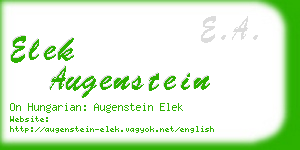 elek augenstein business card